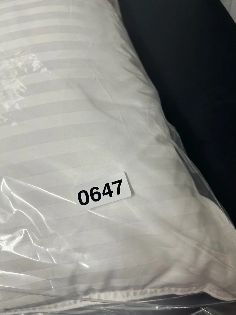 Pottery Barn Luxury 700FP European White Goose Down Pillow